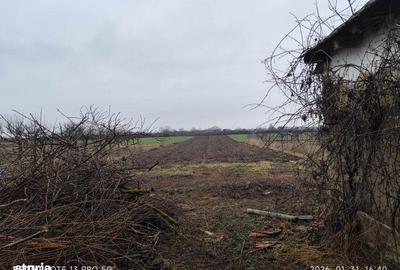 Casă cu 3 camere cu Teren 5492 Mp în Sălard - 3