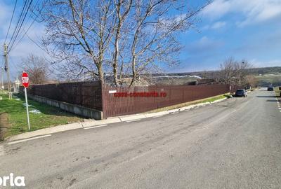 Casă cu 5 camere cu Teren 2660 Mp în Poarta Albă - 9