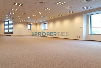 Comision 0! Birouri in zona Grozavesti - diverse spatii intre 8 si 14Euro/mp - 6