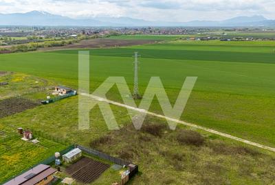 Teren Construcții intravilan de 963 mp, în Hălchiu - 8