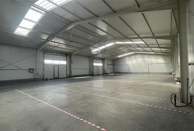 De inchiriat hala industriala cu suprafata de 500 mp., in Mureseni - 6