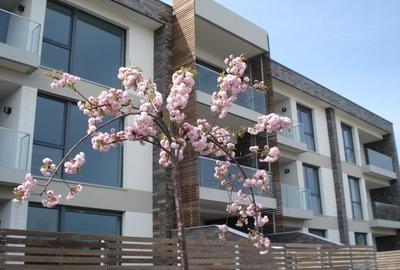 Apartament cu 3 camere semidecomandat în Băneasa