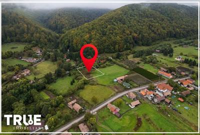 Teren intravilan Câmpul Cetății 2600m? - zonă de vacanță Teren intravilan Câmpul Cetății 2600m? - zonă de vacanță - 10