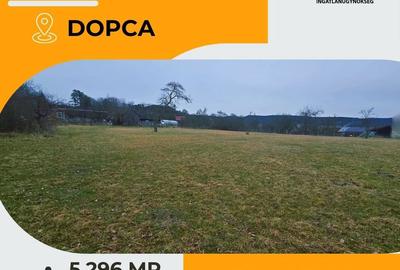 Teren de 5296 mp, în Hoghiz - 5