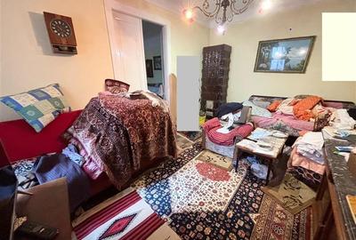 Casa pe malul Crisului - 172 mp - Ultracentral - 3