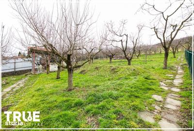 Casă cu 4 camere cu Teren 750 Mp în Sântana de Mureș - 3