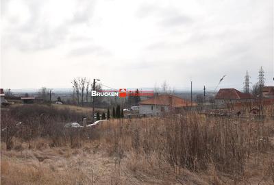 Teren de 1000 mp, în Petreu - 5