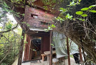 DE VANZARE - Cabana / casa vacanta in COAS - 1