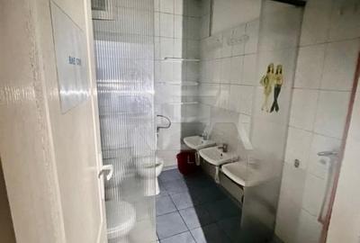 Vila individuala 8 camere  Parcul Carol - 9