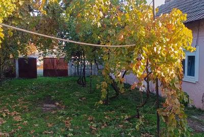 Vand casa Rusane?ti - 4