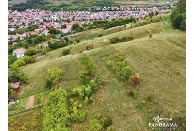 Teren intravilan de aproape 3 ha la liziera pădurii | cartierul Gloria - 5