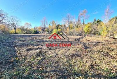 Teren intravilan in Cornu 3171 mp--89.000e - 11