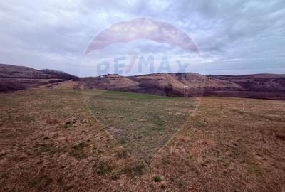 Teren Construcții de 3400 mp, în Crișeni - 5