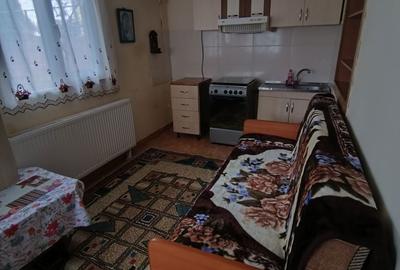 Casă cu 3 camere în Valea Adâncă - 6