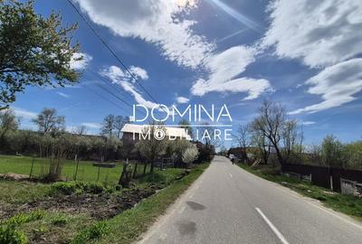 Teren Construcții de 6504 mp, în Curtișoara - 2