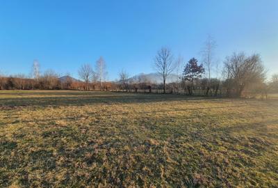 Teren Construcții intravilan de 1370 mp, în Bran - 4