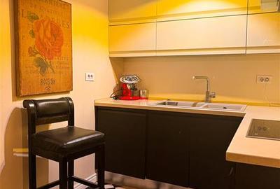 Apartament cu 2 camere decomandat, mobilat în Herăstrău - 15