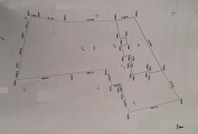 Stirbei Voda-Parcul Operei-Cotroceni - 3