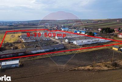 Teren de 39600 mp, în Traian - 9