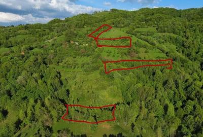 Teren în Buceș - 1