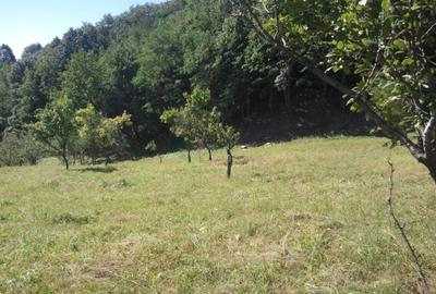 Teren livadă cu panoramă superbă Dealul Malului pentru casă sau cabană - 12