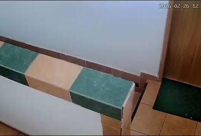 Apartament decomandat în Delfinariu