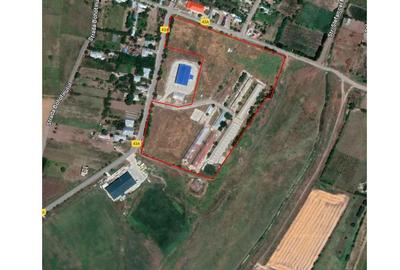 Teren de 15000 mp, în Central - 2