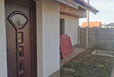 Casă cu 2 camere cu Teren 600 Mp în Peciu Nou - 8