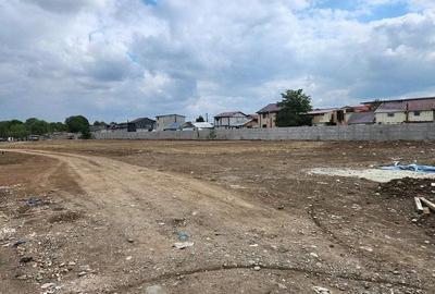 Straulesti Nades teren intravilan 15500 mp deschidere 98 ml - 7