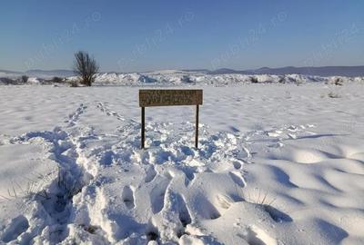 Teren de 4000 mp, în Florești - 1