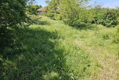 Teren de 2070 mp, în Stejaru - 2