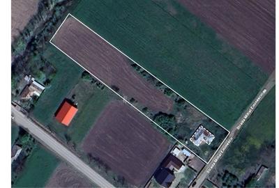 Spațiu comercial, în Valea lui Ion