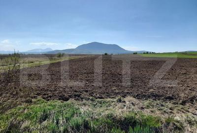 TEREN Extravilan 15000 MP in Zona Codlea - 3