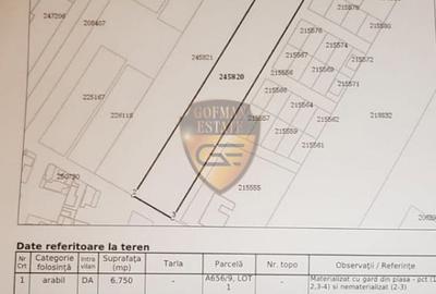 Teren Construcții intravilan de 6750 mp, în Palas - 3