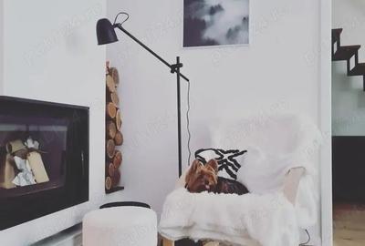 Apartament cu 3 camere decomandat în Medicină - 3