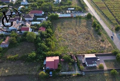 Teren intravilan -2679 mp-Branesti / Islaz - 2