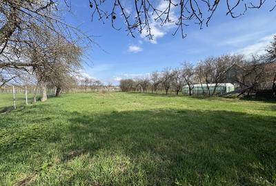 Casă individuală cu 2 camere cu Canalizare în Vad - 5