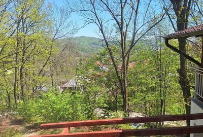 Casă cu 5 camere cu Teren 6242 Mp în Gura Beliei - 4