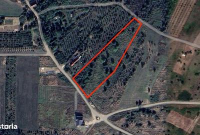 Teren de 4910 mp, în Paleu - 2