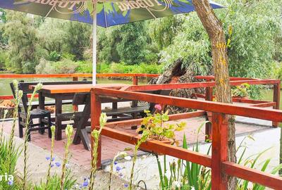 Casă cu Teren 1500 Mp în Murighiol - 11