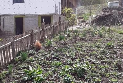 Moreni, Dambovita - 2