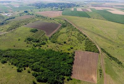 Teren arabil de 1771 hectare in Dolj - 2