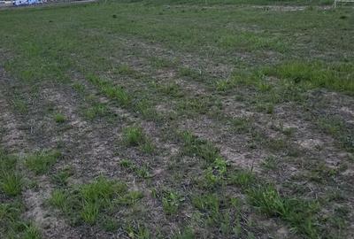 Teren de 2000 mp, în Central