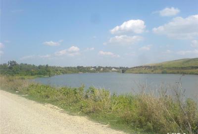 Teren în Sinești - 5