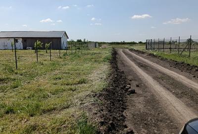 Teren Construcții intravilan de 810 mp, în Săcălaz - 4