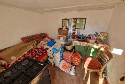 Casa de vanzare si teren, Jud.Braila, Comuna VIZIRU - 5