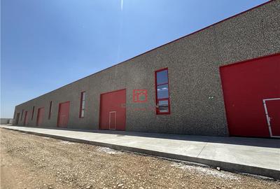 Spațiu comercial, de 300 mp, în Chitila - 2