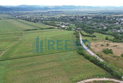 Teren de 3.600 mp Racova - 6