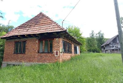 Teren agricol extravilan de 16000 mp, în Borlovenii Noi - 3