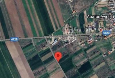 Teren Construcții intravilan de 2500 mp, în Vest - 2